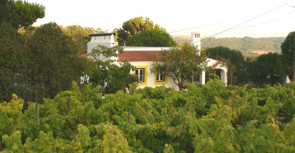 Casal Novo Hostal São Martinho do Porto Exterior foto